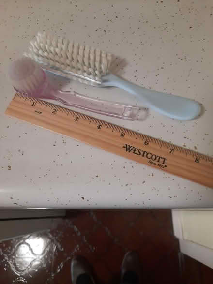 Photo of free Very Soft Brushes (Kips Bay, Manhattan) #1