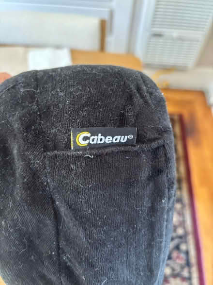 Photo of free Travel pillow (North Oakland) #3