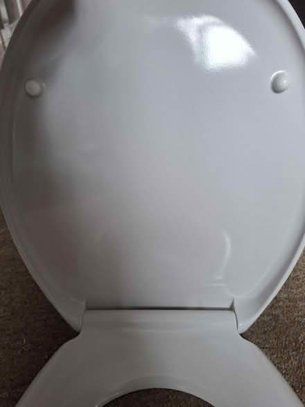 Photo of free Toilet seat (Briarhill) #4