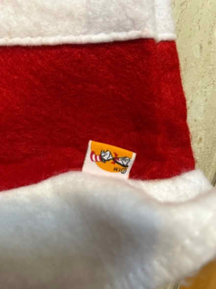 Photo of free Dr Zeus Cat in the Hat Costume (Potters Bar EN6) #4