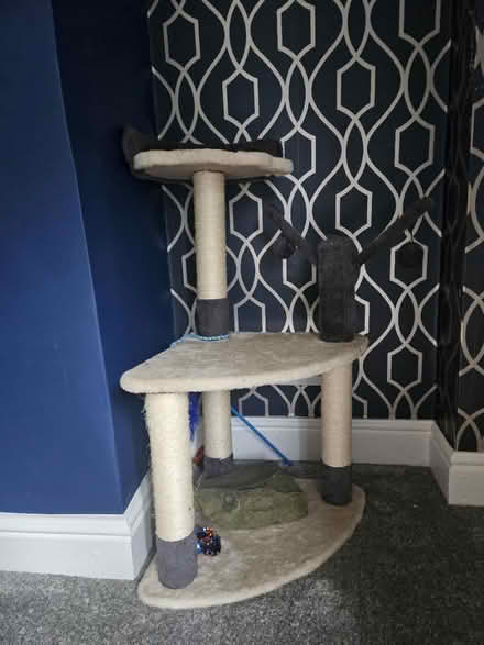 Photo of free Cat Scratching Post (Greenside, Ryton NE40) #1