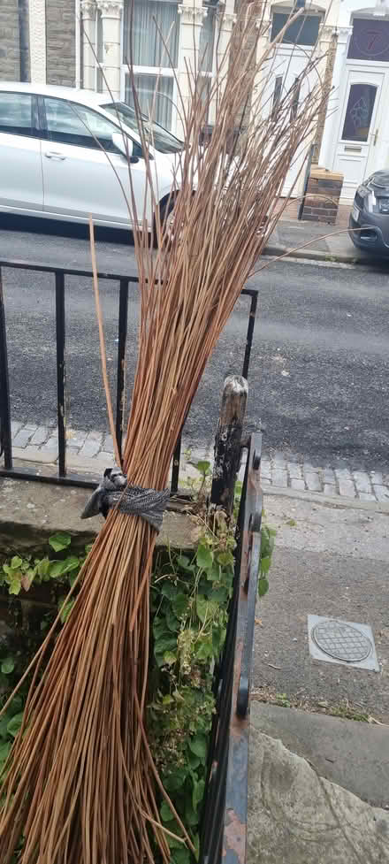 Photo of free Willow bundle (BS5) #1