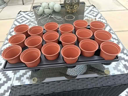 Photo of free 18, 9cm pots and drip tray (Toftwood NR19) #1