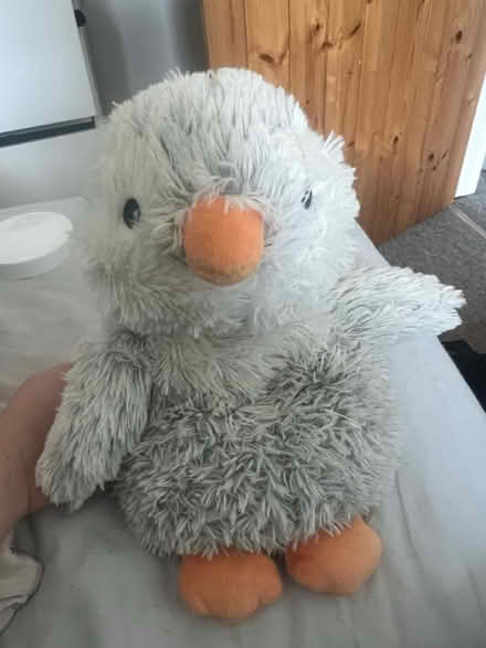 Photo of free Microwaveable teddy (Maldon CM9) #1