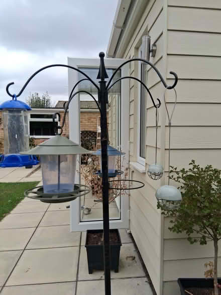 Photo of free Bird feeding station (Toftwood NR19) #2