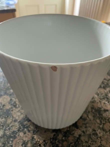 Photo of free Large White Plant Pot (Lamorbey DA15) #2