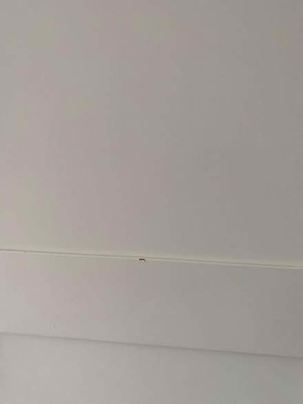 Photo of free Ikea Wardrobe (Hertford SG13) #4