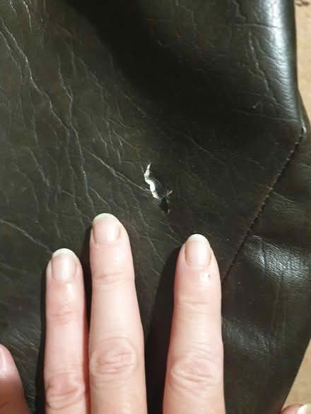Photo of free Beanbag (Parkstone, Poole, BH14) #2