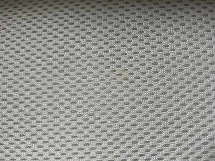 Photo of free Baby Nest (Norton S8) #2