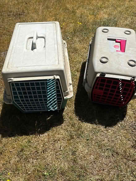 Photo of free Chicken feeders and pet carriers (Frensham) #2