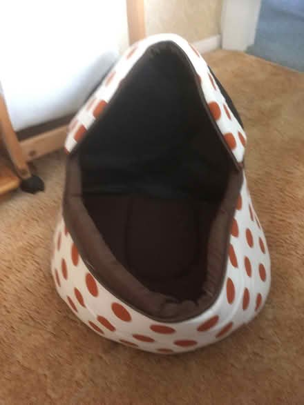 Photo of free Cat basket (Chipstead TN13) #1