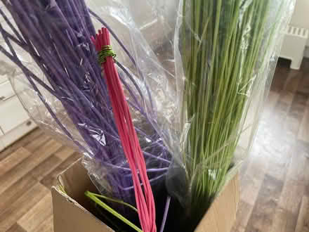 Photo of free Florist Midelino sticks (Oadby LE2) #2