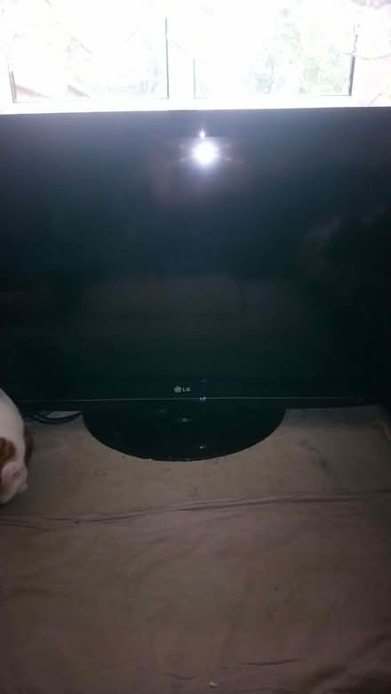 Photo of free TV(faulty) (Pudsey LS28) #1