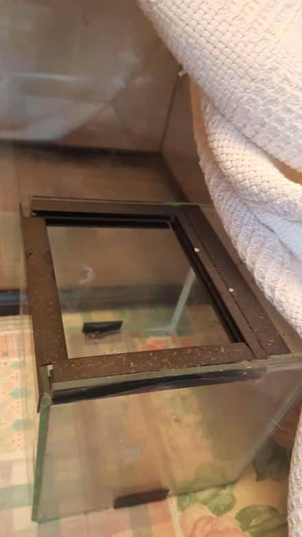 Photo of free Small Animal Aquarium (Seaside BN22) #4