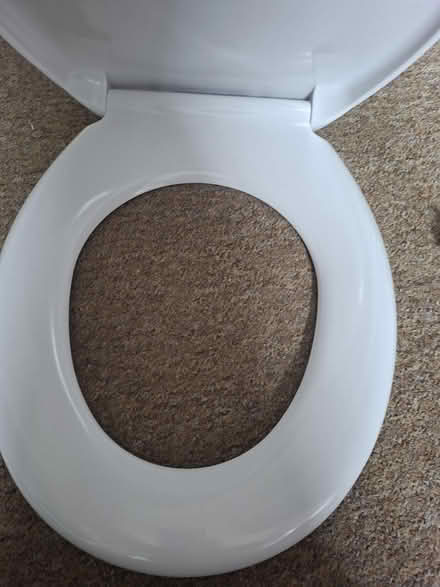Photo of free Toilet seat (Briarhill) #2