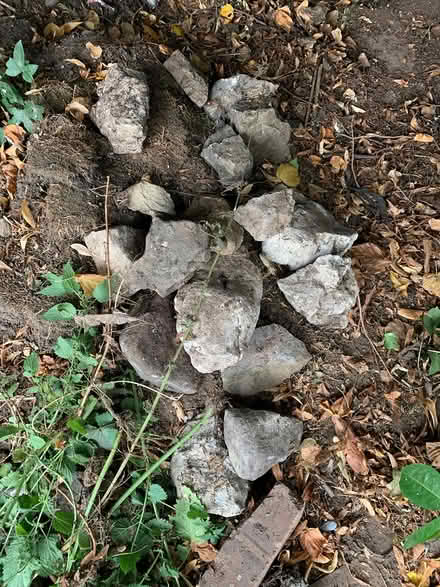 Photo of free Rockery Rocks (Lichfield WS13) #1