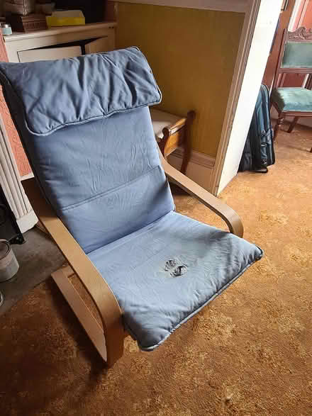 Photo of free Ikea poang chair (Great chesterford CB10 1NS) #2