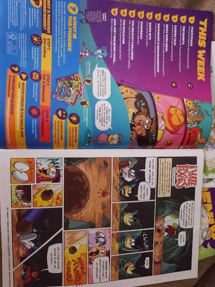 Photo of free Mostly Phoenix comic magazines (Newbury Park IG2) #2