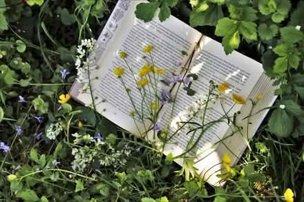 Photo of free Garden/Nature themed books (mixed topics) (Gilmerton EH17) #1