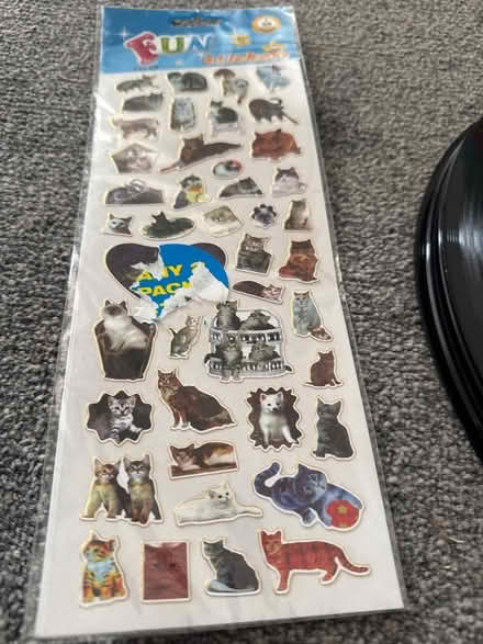 Photo of free dimonte stickers and cat stickers (St Albans AL4) #2