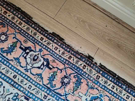 Photo of free Turkish wool rug (Alconbury PE28) #3