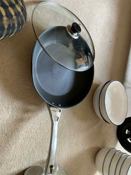Photo of free Curculion pan large (Barnes) #1
