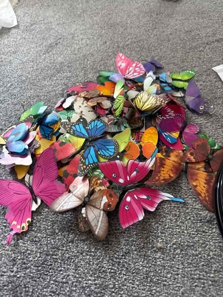 Photo of free Magnetic butterfly’s (St Albans AL4) #1