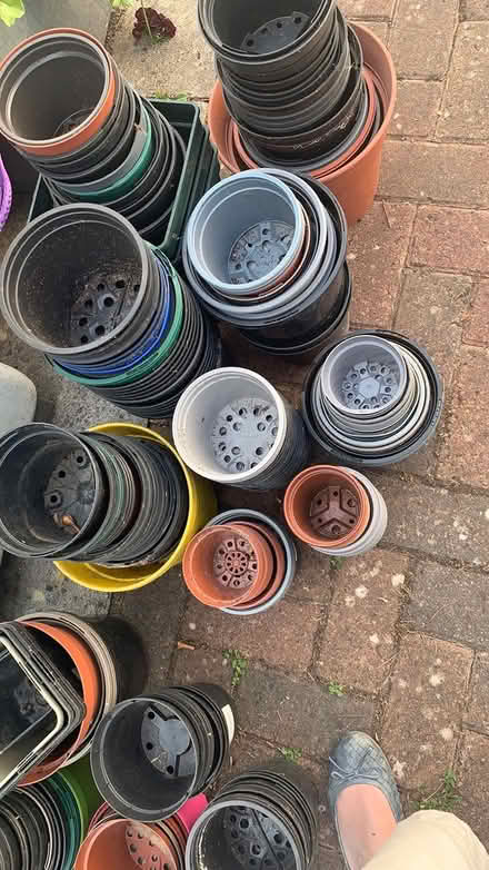Photo of free Plastic plant pots (Charlton Kings) #1