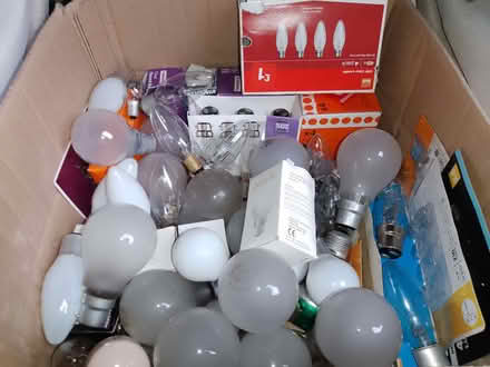 Photo of free 'Incandescent' / GLS light bulbs (Bucknell SY7) #2