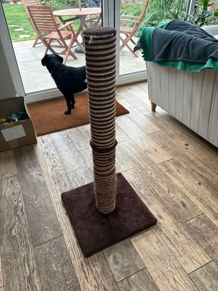 Photo of free Cat scratching post (Hoole, Chester) #1