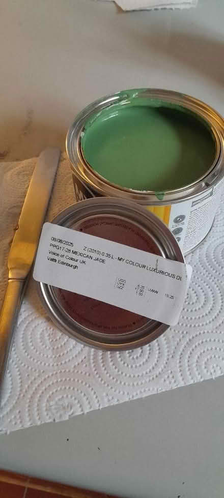 Photo of free 350ml tester pot, green emulsion paint (Kings Heath B14) #2