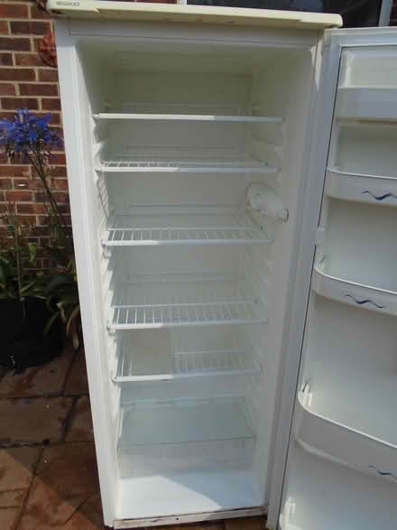Photo of free Beko Tall Larder Fridge (Maldon CM9) #3