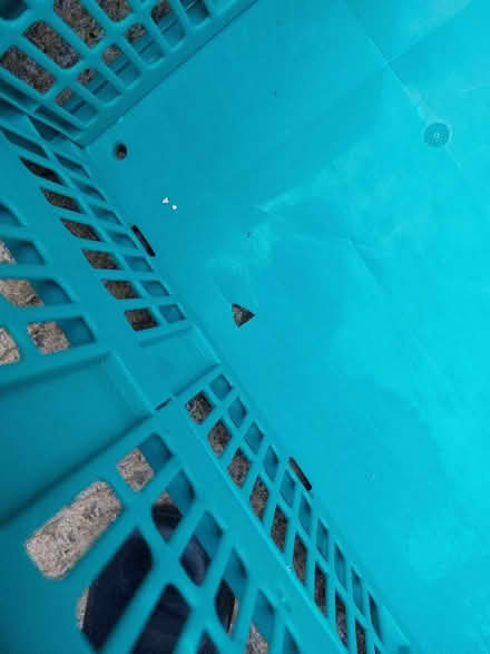 Photo of free Collapsible storage crates (Bancroft MK13) #2