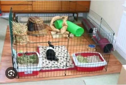 Photo of Rabbit’s toys or anything etc (Derby de23 8ej) #2