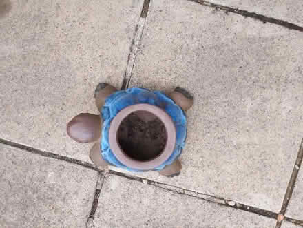 Photo of free Tortoise blue planter (Folksworth PE7) #1