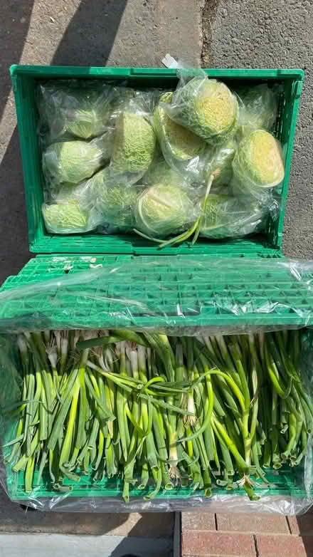 Photo of free spring onions, cabbage and breads (Barbourne WR3) #4