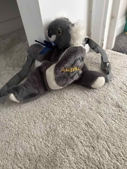 Photo of free Little Koala bag back pack about 15 cm long (St Albans AL4) #1