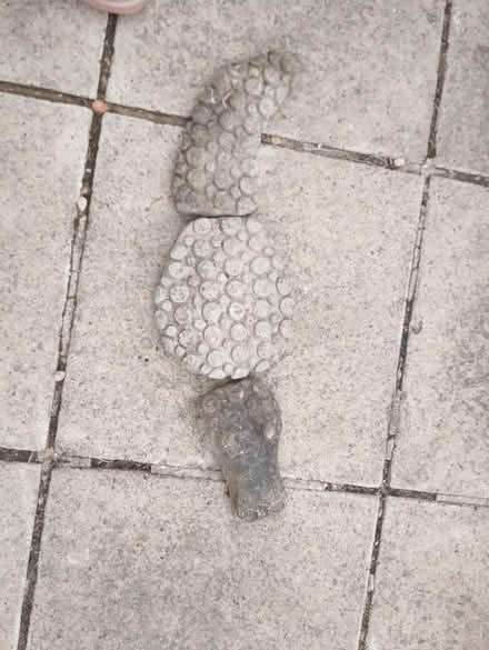 Photo of free concrete crocodile garden ornament (Folksworth PE7) #1