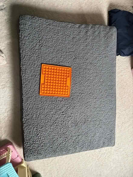 Photo of free Dog bed, medium/large suits spaniel/collie (Gracemount EH16) #1