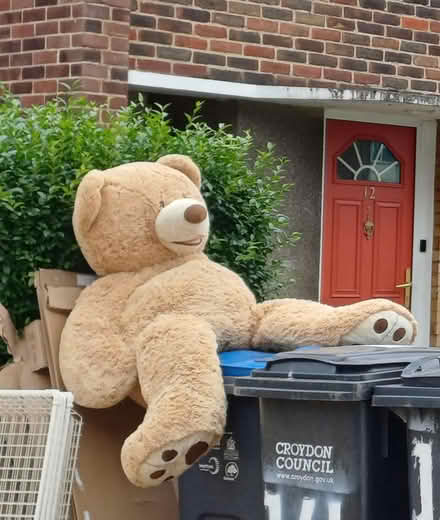 Photo of free Huge teddy bear (CR0) #1