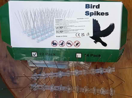 Photo of free Seagull/pigeon deterrent (Shoreham-by-Sea BN43) #2