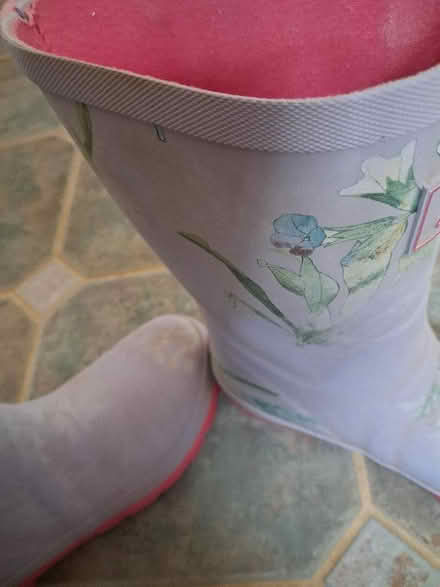 Photo of free Ladies Jules wellies size 6 (KGH area NN16) #3