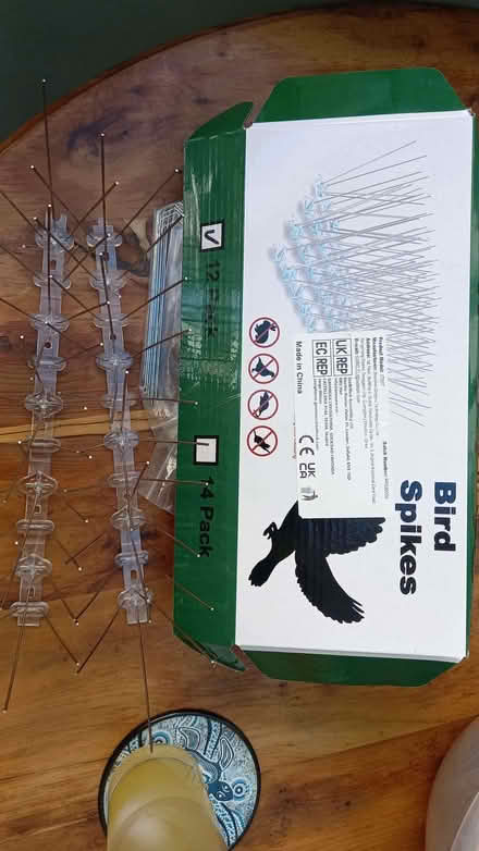 Photo of free Seagull/pigeon deterrent (Shoreham-by-Sea BN43) #1