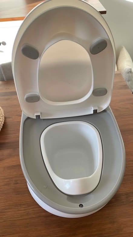 Photo of free Brand new potty, unused (Woodcote Rg8 0sg) #3