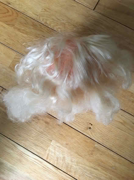 Photo of free Doll head for making hairstyles (Nw7 mill hill broadway) #3