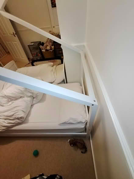 Photo of free Single bed and mattress (Sheffield S14 1FL) #4