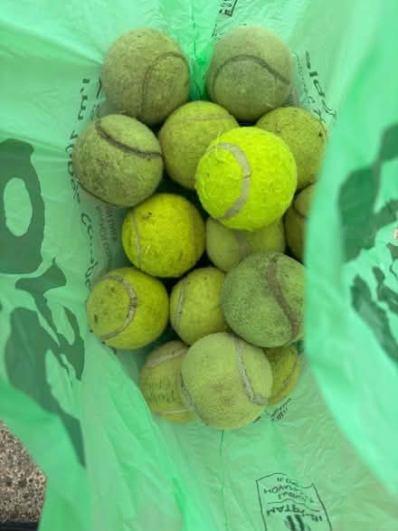 Photo of free Bag of old tennis balls (Patcham BN1) #1