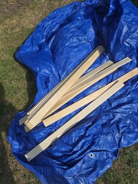 Photo of free Single size Bed slats (Southfields SW18) #1