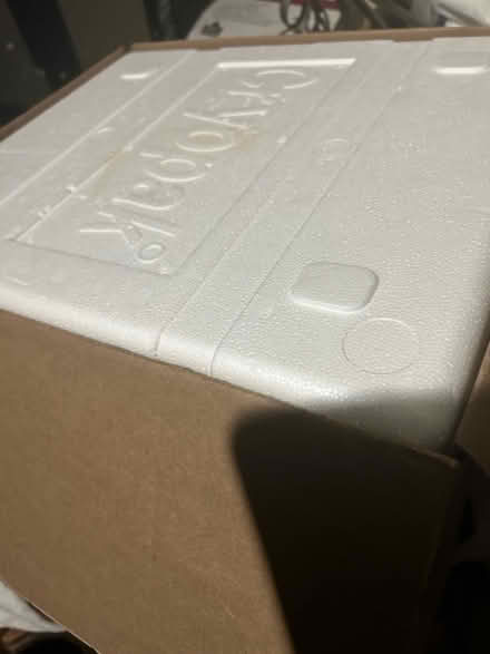 Photo of free Foam cooler (Meadowvale, Mississauga) #1