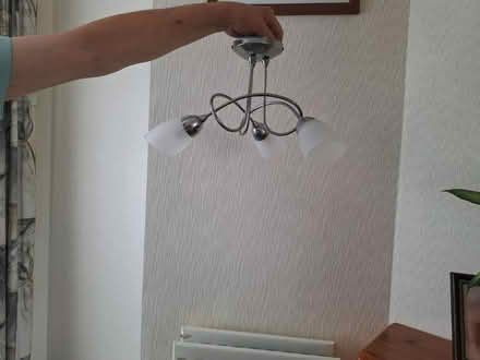 Photo of free Ceiling lights x2 (Woodingdean) #1